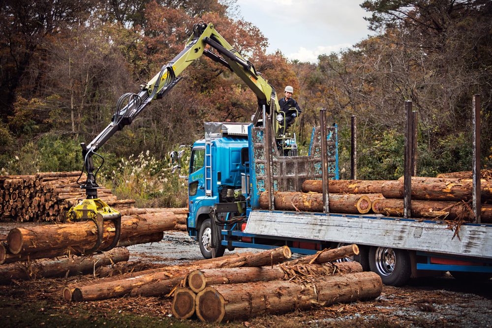 LOGLIFT 105Z šumska dizalica - Image 2