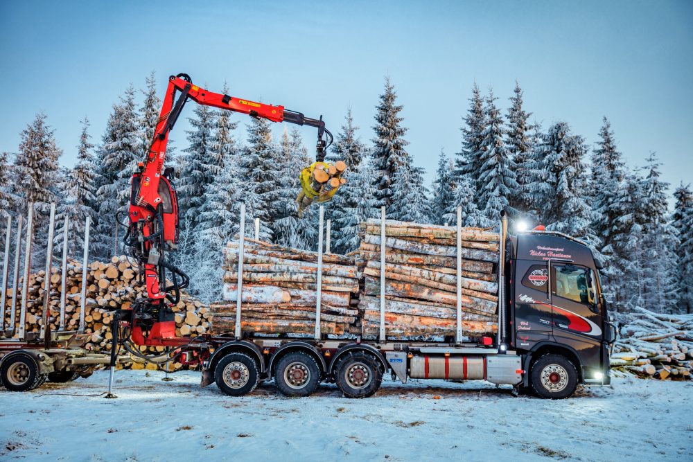 LOGLIFT 140Z šumska dizalica - Image 2
