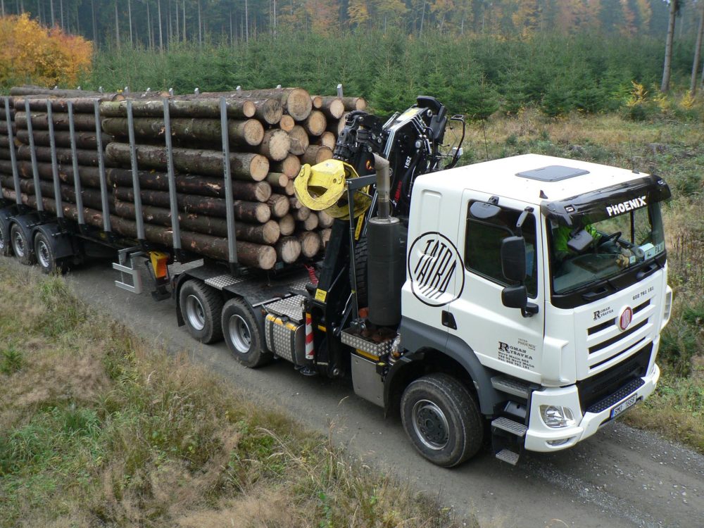 LOGLIFT 165Z šumska dizalica - Image 2