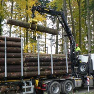 LOGLIFT 165Z forestry crane